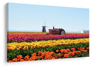 Tablou cu farma de lalele (90x60 cm)