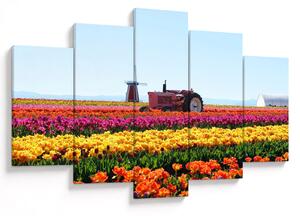 Tablou cu farma de lalele (150x105 cm)