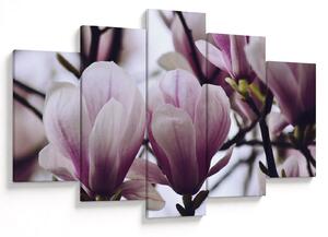 Tablou - Magnolie (150x105 cm)