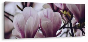 Tablou - Magnolie (120x50 cm)