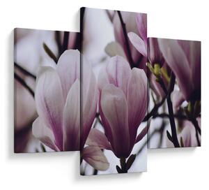 Tablou - Magnolie (90x60 cm)