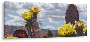 Tablou cu floarea de cactus Opunție (120x50 cm)