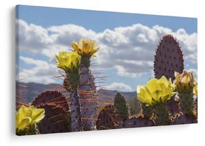 Tablou cu floarea de cactus Opunție (90x60 cm)