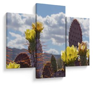 Tablou cu floarea de cactus Opunție (90x60 cm)