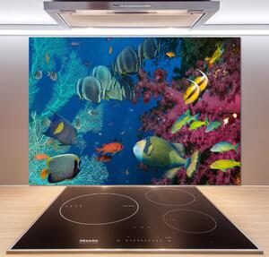 Panou sticlă decorativa bucătărie recif de corali