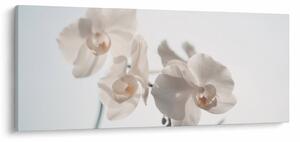 Tablou cu orhidee albă (120x50 cm)