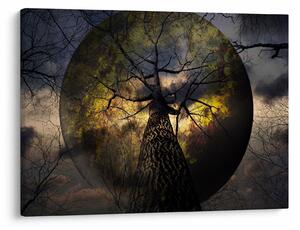 Tablou - Cerul enigmatic (70x50 cm)