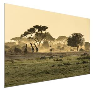 Panou perete bucătărie Girafele pe savana