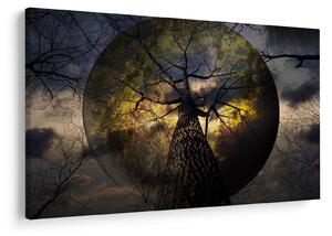 Tablou - Cerul enigmatic (90x60 cm)