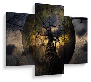 Tablou - Cerul enigmatic (90x60 cm)