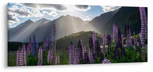 Tablou - scenariu cu flori de Lupin (120x50 cm)