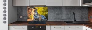 Sticlă pentru bucătărie Portret de un tigru