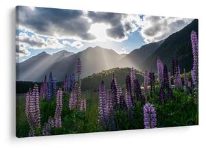 Tablou - scenariu cu flori de Lupin (90x60 cm)