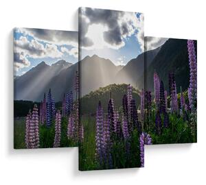 Tablou - scenariu cu flori de Lupin (90x60 cm)