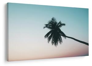Tablou - Palmier la Bali (90x60 cm)