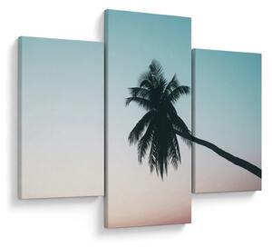 Tablou - Palmier la Bali (90x60 cm)