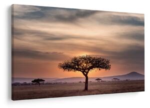 Tablou apusului de soare în Tanzania (90x60 cm)