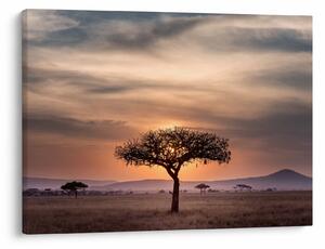 Tablou apusului de soare în Tanzania (70x50 cm)