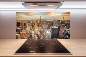 Panou sticlă decorativa bucătărie New York pasăre de zbor
