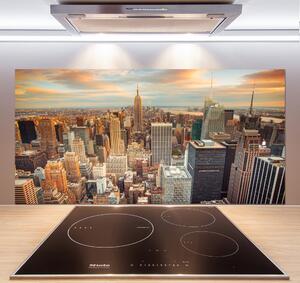 Panou sticlă decorativa bucătărie New York pasăre de zbor