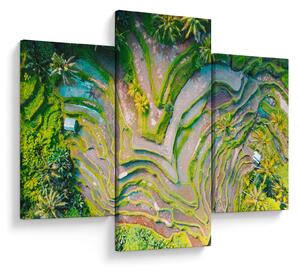 Tablou cu lanuri de orez din privire de sus (90x60 cm)