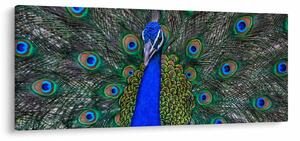 Tablou - Păun (120x50 cm)