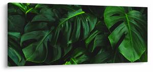 Tablou cu frunze Monstery (120x50 cm)