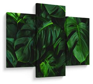 Tablou cu frunze Monstery (90x60 cm)