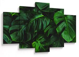 Tablou cu frunze Monstery (150x105 cm)