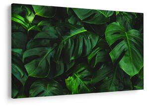 Tablou cu frunze Monstery (90x60 cm)
