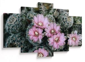 Tablou floare de cactus (150x105 cm)