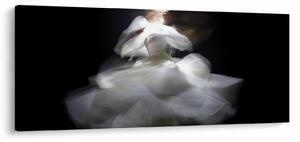 Tablou cu floare de lotus (120x50 cm)