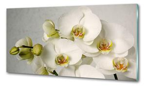 Panou sticlă decorativa bucătărie alb orhidee
