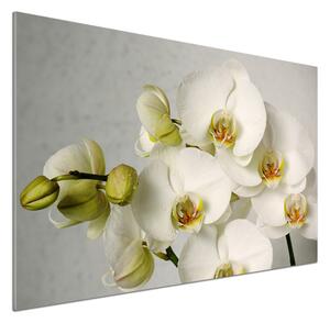 Panou sticlă decorativa bucătărie alb orhidee