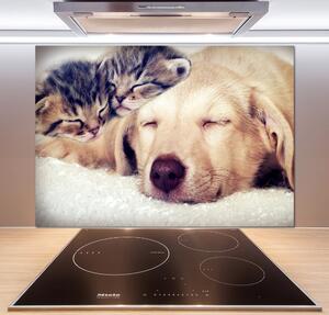 Panou sticlă decorativa bucătărie Puppy și pisici