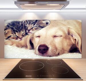 Panou sticlă decorativa bucătărie Puppy și pisici