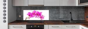 Sticlă bucătărie orhidee roz