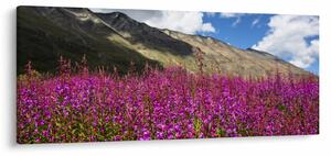 Tablou sceneriei cu lunca montană (120x50 cm)