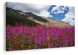 Tablou sceneriei cu lunca montană (90x60 cm)