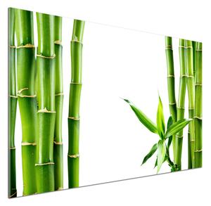 Sticlă pentru bucătărie Bambus