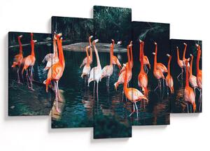 Tablou - turmă de flamingo (150x105 cm)