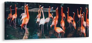 Tablou - turmă de flamingo (120x50 cm)