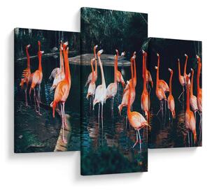 Tablou - turmă de flamingo (90x60 cm)