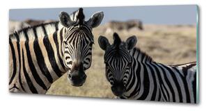Panou sticla securizata bucatarie două zebre