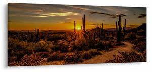 Tablou - Sfărșit de zi în deșertul Arizona (120x50 cm)