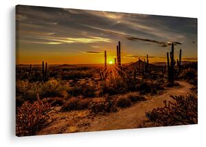 Tablou - Sfărșit de zi în deșertul Arizona (90x60 cm)