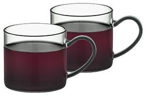 4Home Set de căni din sticlă Haze 250 ml, 2 buc