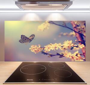 Panou sticlă bucătărie Floare de cireș și fluture