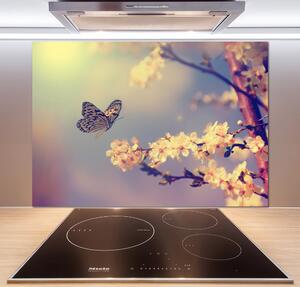 Panou sticlă bucătărie Floare de cireș și fluture