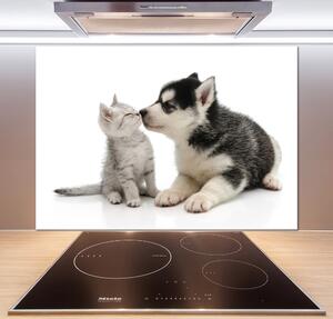 Panou sticlă bucătărie Câine și pisică